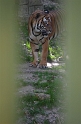 Kids_DZoo-SBreak2012 (223)